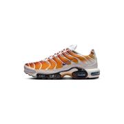 Lage Sneakers Nike Air Max Plus One Block Down Chutney