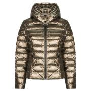 Donsjas Morgan GELOLA