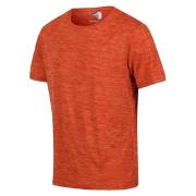 T-shirt Korte Mouw Regatta T-shirt Fingal Edition Rouge