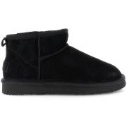 Enkellaarzen Café Noir C1DR6031