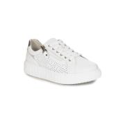 Lage Sneakers Artiker 54C1227