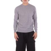 Trui Alpha Studio 202502AU 3120C