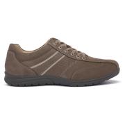 Sneakers Zen MUFLONE VISONE