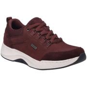 Lage Sneakers Josef Seibel -