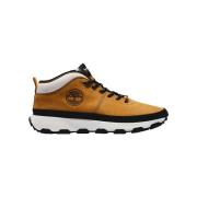 Sneakers Timberland Winsor Wheat