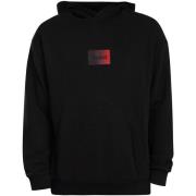 Sweater BOSS Danohood Pullover Hoodie