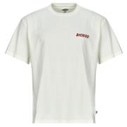 T-shirt Korte Mouw Dickies DRY RIDGE SS TEE EGRET