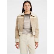 Donsjas Guess W5BL13 W1862