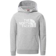 Sweater The North Face NF00AHJYLXS1