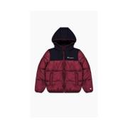 Donsjas Champion Legacy