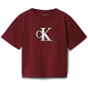 T-shirt Korte Mouw Calvin Klein Jeans Festive Graphic Ss T-Shirt