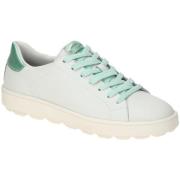 Lage Sneakers Geox -
