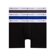 Boxers Tommy Hilfiger -