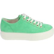 Lage Sneakers Paul Green Sneaker