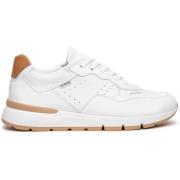 Lage Sneakers NeroGiardini Sneaker