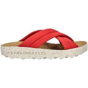 Klompen Asportuguesas Muiltjes