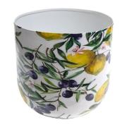 Vazen, potten voor binnen Signes Grimalt Citroen- En Olijfplantenbak