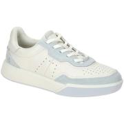 Sneakers Ecco -