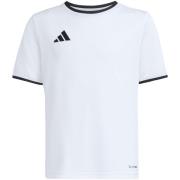 T-shirt Korte Mouw adidas Ent26 Jsy Y