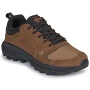 Lage Sneakers Merrell TEMPO SOL