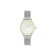 Horloge Ted Baker te50704001