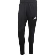 Trainingsbroek adidas Ent26 Tr Pnt