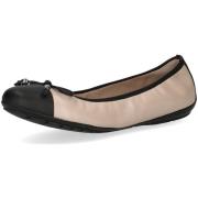 Ballerina's Caprice -