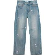 Straight Jeans Desigual SHINE 26SWDD36