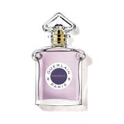 Eau de Parfum Guerlain Insolence 75ml Eau de Parfum Verstuiver