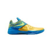 Basketbalschoenen Nike Zoom Kd Iv