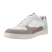 Lage Sneakers Geox D JAYSEN