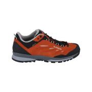 Wandelschoenen Lowa Delago Low Gtx