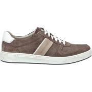 Lage Sneakers Pius Gabor Sneaker
