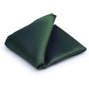 Schoenaccessoires Suitable Zijde Pochet Groen