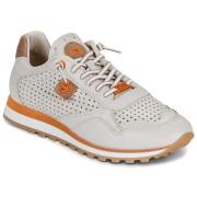 Lage Sneakers Cetti C-848-V26-NATURE-OFF-WHITE-CUERO