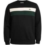 Sweater Lacoste Kleurblok Sweatshirt