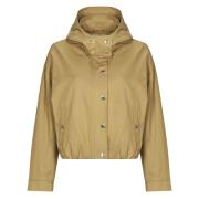 Windjack Morgan GCAMIS