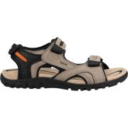 Sandalen Geox Wandelschoenen
