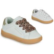 Lage Sneakers Tommy Hilfiger HECTOR