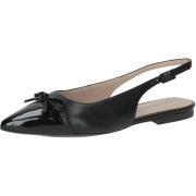 Ballerina's Caprice Ballerina´s