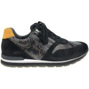 Lage Sneakers Gabor 56.369.33