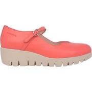 Ballerina's Wonders Anora