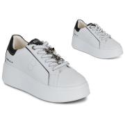 Lage Sneakers Tosca Blu CLARA