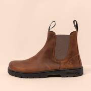 Low Boots El Naturalista 252621156005