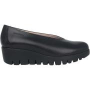 Ballerina's Wonders Fly