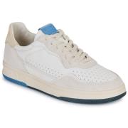 Lage Sneakers Clae HAYWOOD