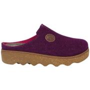 Klompen Rohde Foggia-D