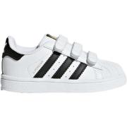 Lage Sneakers adidas BZ0418