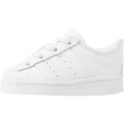 Lage Sneakers adidas EF5397