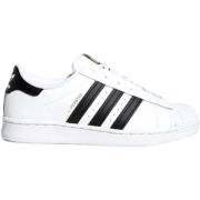 Lage Sneakers adidas FU7714